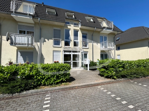 WhatsApp Image 2024-06-25 at 00.30.56 (9).jpeg